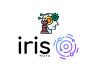 Diagnostic Horizon SiteWeb CMS Iris : un accompagnement personnalisé au cœur de vos enjeux digitaux