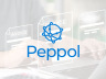 Automatisation Peppol avec Billit et Zephyr